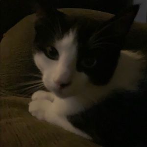 Meet your Posher, Chas